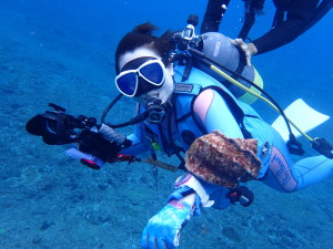 OLYMPUS DIGITAL CAMERA