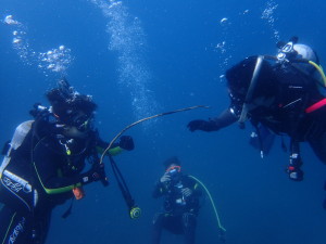 OLYMPUS DIGITAL CAMERA